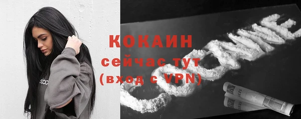 крисы Краснослободск