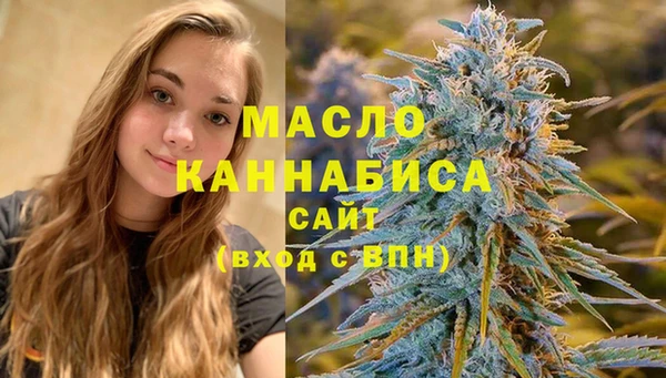 крисы Краснослободск