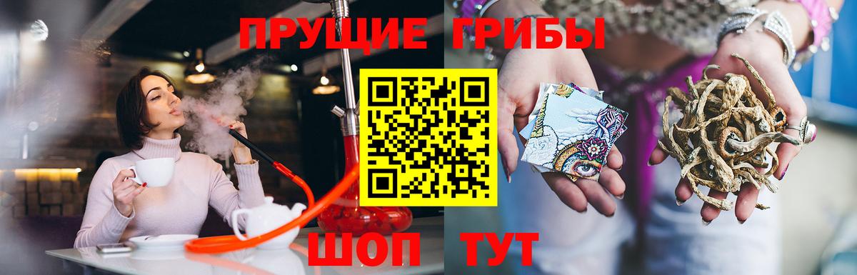 Псилоцибиновые грибы GOLDEN TEACHER Прохладный