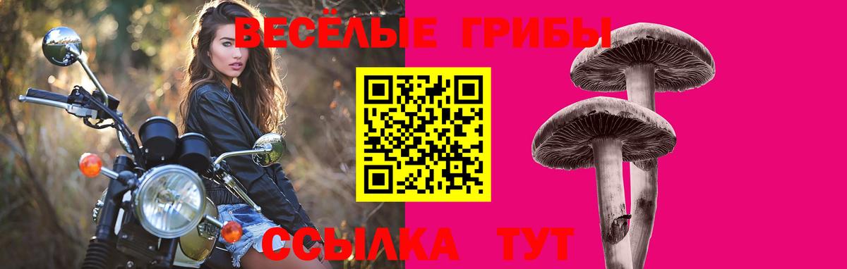 Псилоцибиновые грибы мухоморы  Галлюциногенные грибы мицелий  Прохладный  Вход с VPN 